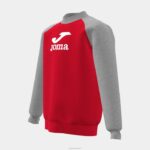 Joma 82P4R2764 مزيج أحمر رمادي قميص من النوع الثقيل صبي الأسد - Image 4