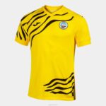 Joma 82P4R3497 أصفر قميص كم قصير حارس المرمى سوانسي 22/23 - Image 2