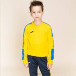 Joma 82P4R826 أصفر أزرق ملكي بطولة قميص من النوع الثقيل الرابع رجال - Image 8